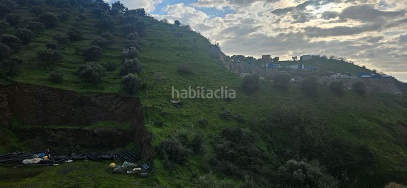 Foto 9760b6f2-d0aa-4236-b7f2-405896816037. Finca rústica se vende parcela rústica en Algarrobo pueblo Algarrobo