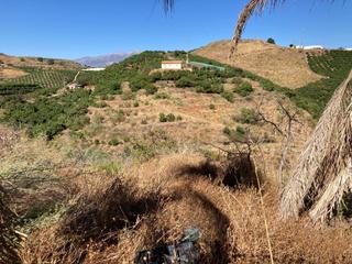 Finca rústica en Almayate Bajo. Finca rústica totalmente vallada