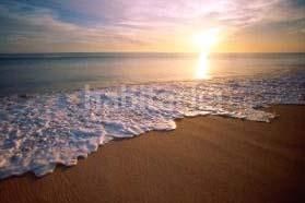 Foto 456c433f-b3f4-42ee-8346-a58aba3b431a. Pis a Poniente-Faro Torre del Mar