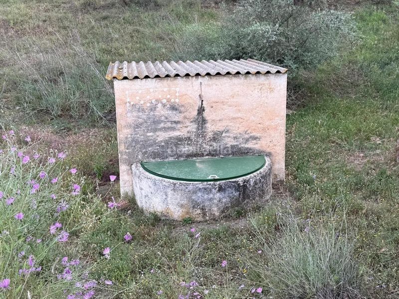 Foto 0666240b-6d98-46e3-9d3c-b6e25db583f1. Finca rústica a Camino Algarrobo - Las Arenas Vélez - Málaga