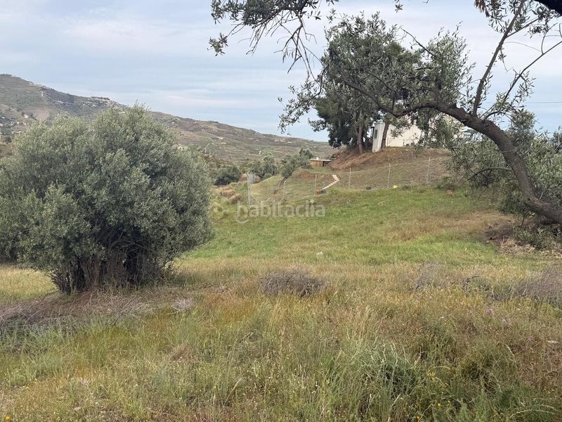 Foto 59ed60b2-b8d9-4a94-adba-a8ad33d1ab9b. Finca rústica a Camino Algarrobo - Las Arenas Vélez - Málaga