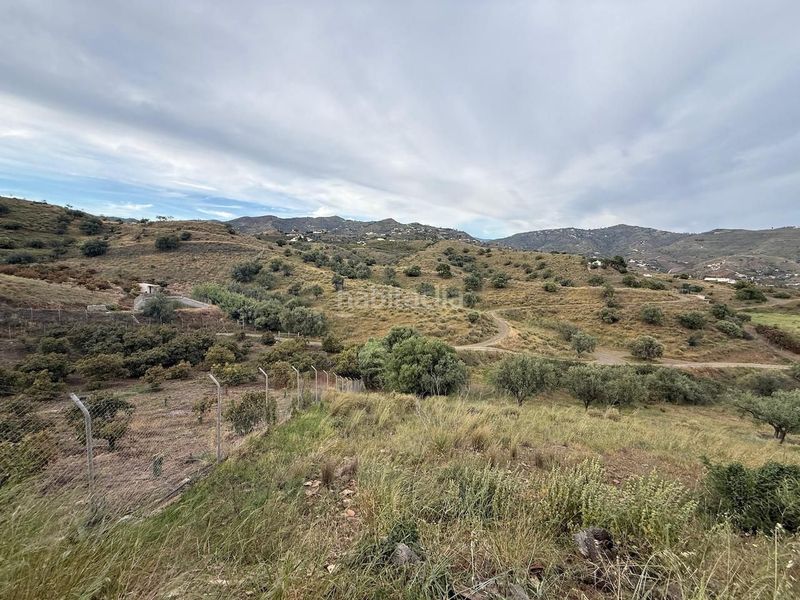 Foto a0be8269-52e3-4c48-9b46-0adc4050f1f9. Finca rústica a Camino Algarrobo - Las Arenas Vélez - Málaga
