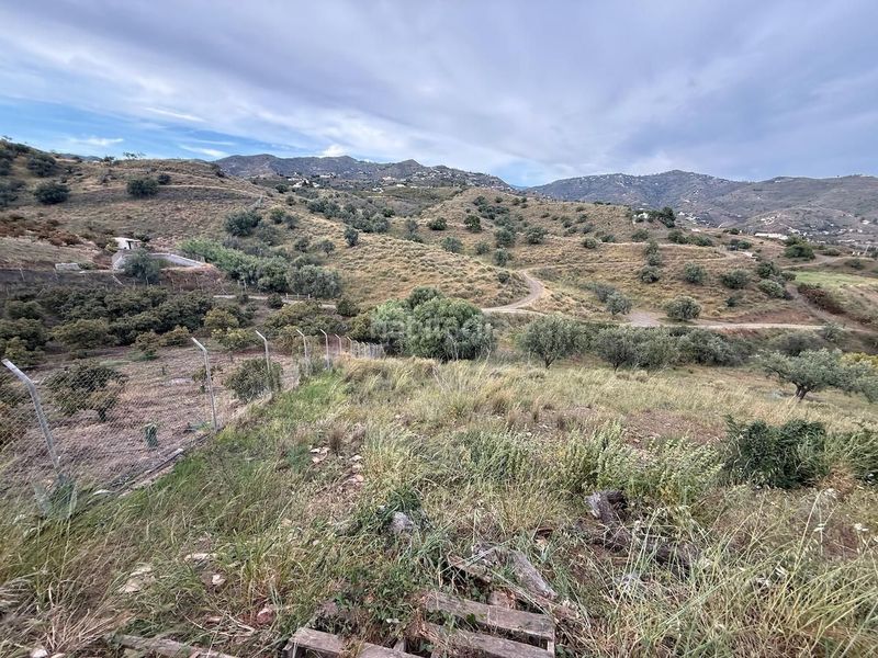 Foto a2f07323-4e79-4216-a1b6-ccb7e510427c. Finca rústica a Camino Algarrobo - Las Arenas Vélez - Málaga