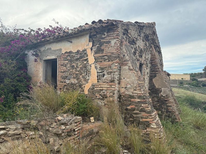 Foto b77a4ef4-b689-497e-9b4c-56fb9d4a57db. Finca rústica a Camino Algarrobo - Las Arenas Vélez - Málaga