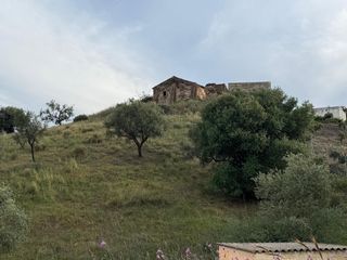 Finca rústica a Camino Algarrobo - Las Arenas
