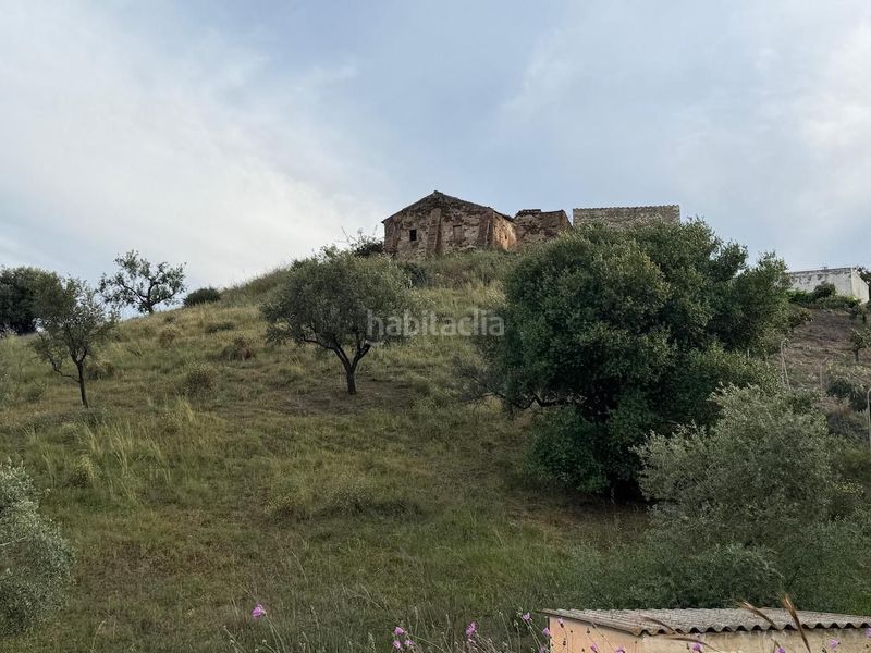 Foto bc8dcb5c-419f-4a0b-9183-b107f6734c08. Finca rústica a Camino Algarrobo - Las Arenas Vélez - Málaga