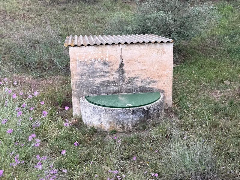 Foto ea03343c-aaa9-43c8-9520-eb71a409a166. Finca rústica a Camino Algarrobo - Las Arenas Vélez - Málaga
