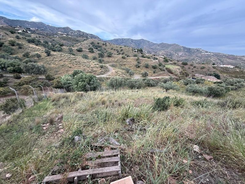 Foto ed49a981-a634-4d76-a1f0-73a3ad8595d0. Finca rústica a Camino Algarrobo - Las Arenas Vélez - Málaga