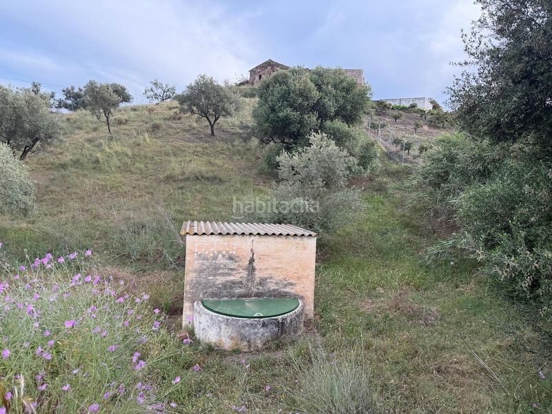 Foto fe046820-e2f9-43c3-9762-c5915cae7d2b. Finca rústica a Camino Algarrobo - Las Arenas Vélez - Málaga