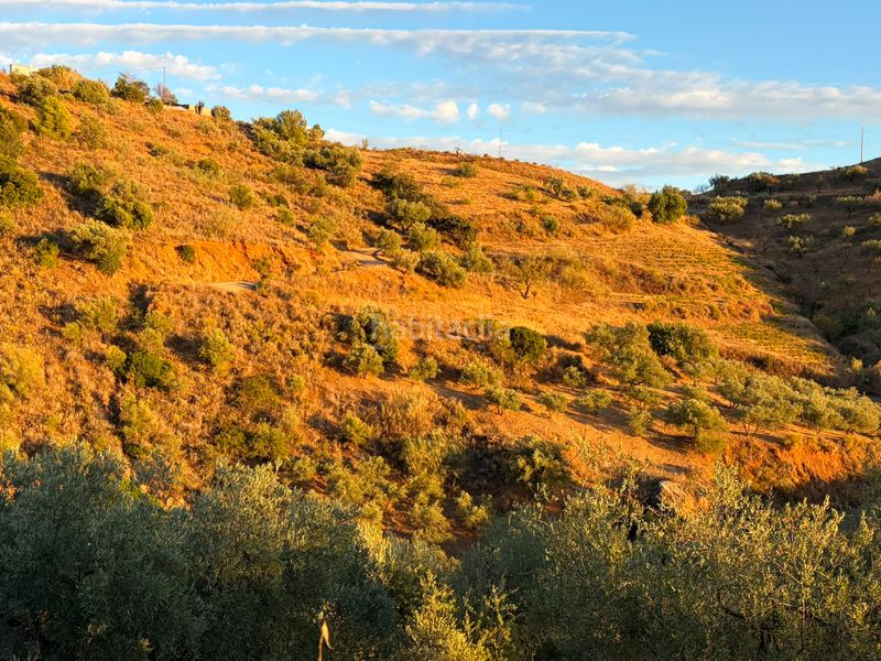 Foto f82b0a4b-8fee-459c-83d4-0beeb362609d. Bauernhof mit kamin pool in Canillas de Aceituno