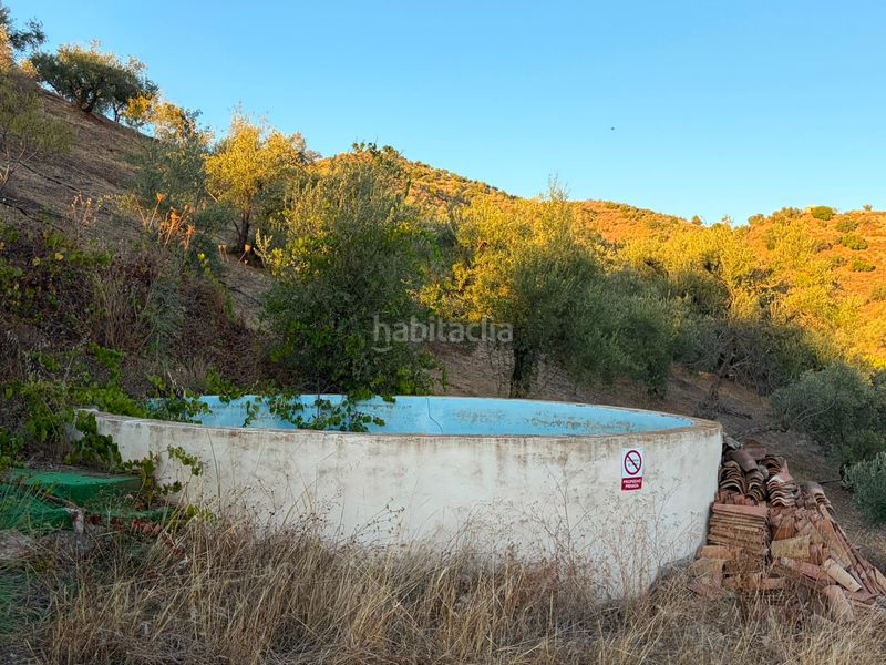 Foto e505ba56-352c-42a3-a656-ffc566a18843. Masia amb xemeneia piscina a Canillas de Aceituno