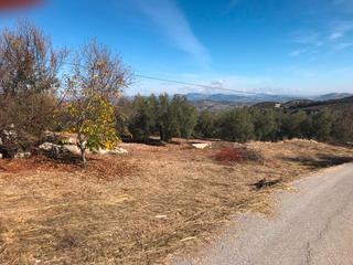 Finca rústica a Íllora