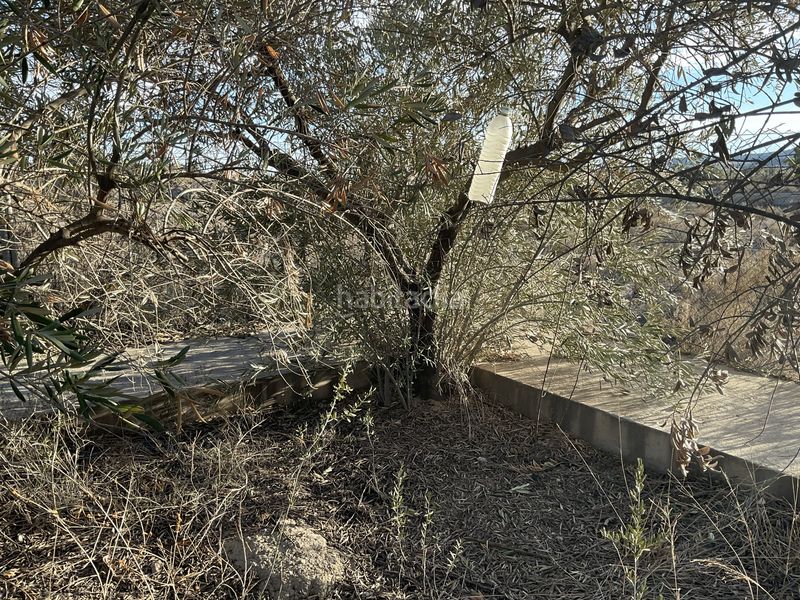 Foto 6b0e6d0c-996e-493e-9598-a89dbc73f163. Masía en Pechina 10 encantadora finca rústica con cortijo y balsa de agua almería en Pechina