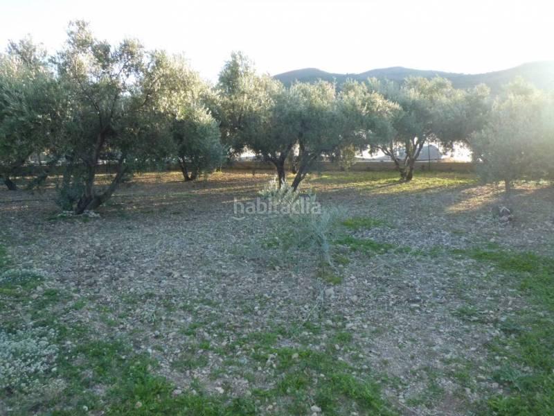 Foto a2f10491-5b83-47ff-be99-55fc0327256e. Terreno residencial solar en venta en Ejido centro Ejido (El)