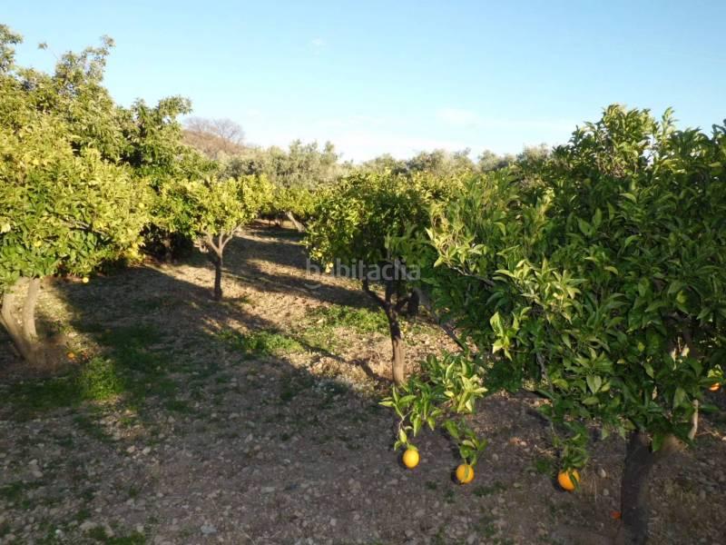 Foto ae2b4836-11a5-4d70-8363-192f5a6530a3. Terreno residencial solar en venta en Ejido centro Ejido (El)