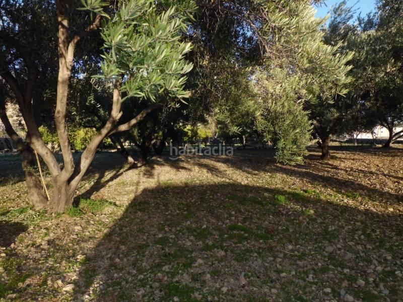 Foto c09e8a76-e13d-44ec-83a9-4c0f62416e1f. Terreno residencial solar en venta en Ejido centro Ejido (El)