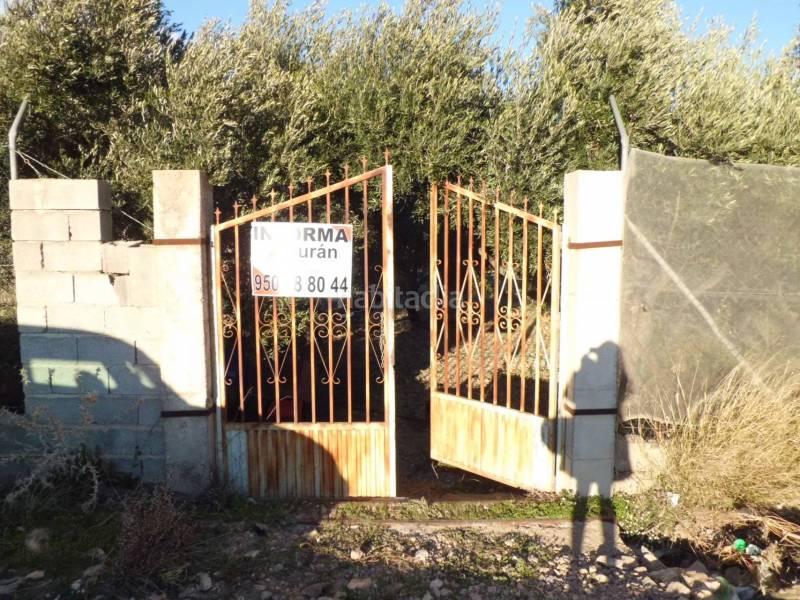 Foto c755824e-0fe7-49ab-bec7-c7473ab53ce1. Terreno residencial solar en venta en Ejido centro Ejido (El)