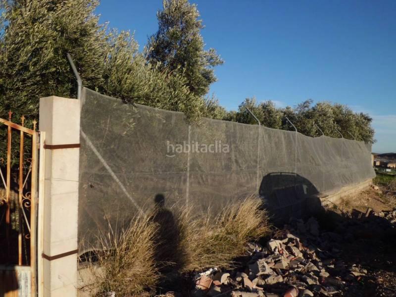 Foto e4a349e2-29b7-40b6-8b49-d1a93e42d758. Terreno residencial solar en venta en Ejido centro Ejido (El)