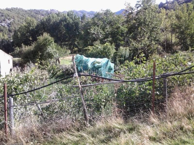 Foto 25527764-1afb-4ca3-b83f-54988949cb7b. Masia a Guadix