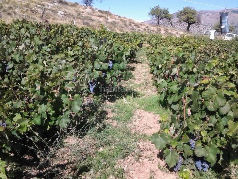 Foto 29e0685c-c3bc-463e-942f-84be298eb857. Masia a Guadix