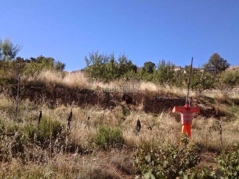 Foto 9864519b-dc1e-493f-b300-bafeecb15e2d. Masia a Guadix