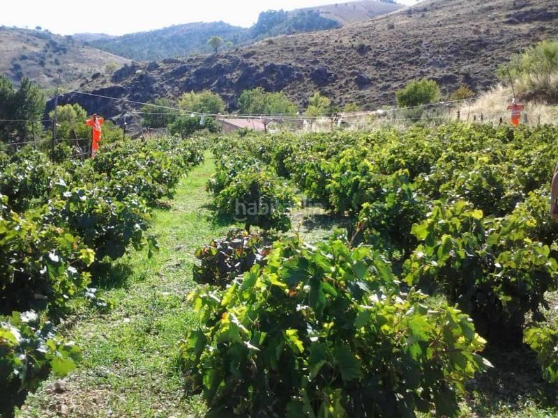 Foto a4a2aac5-1531-4857-8fa6-cf59d5e77ca7. Masia a Guadix