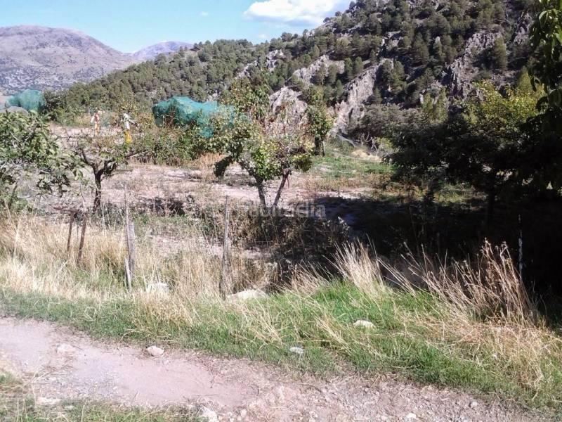 Foto bfb72126-ddd4-4e5f-bbcc-d2b268a39b2f. Masia a Guadix