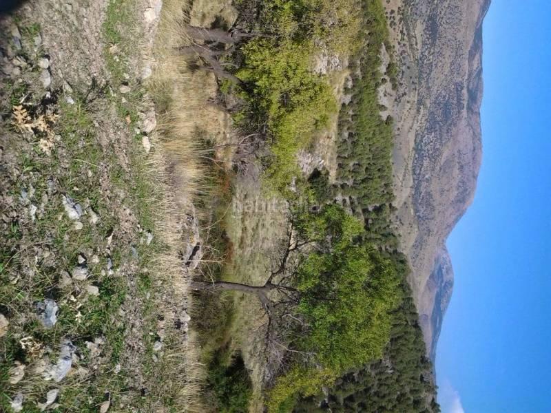 Foto d18f1d00-4fc9-458a-b68a-ab5a9831f61d. Masia a Guadix