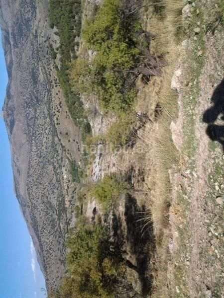 Foto e81f0e7c-d98b-4e59-9578-01bebff7d7d8. Masia a Guadix