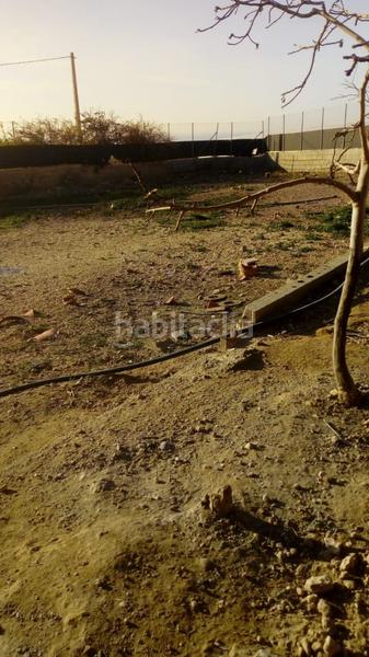 Foto 1f01612f-8411-4c7b-a7c9-c8d6350a6ad0. Casa  en venta en tarambana en Las Norias Ejido (El)