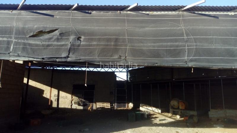 Foto 6b9264ee-f538-437a-9db0-9765a41a21aa. Casa  en venta en tarambana en Las Norias Ejido (El)