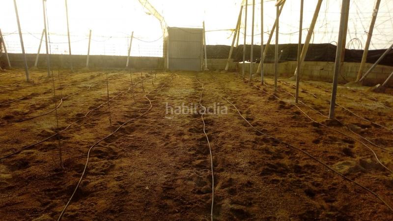 Foto 7dd550a7-a35b-4b12-8982-280a45c24933. Casa  en venta en tarambana en Las Norias Ejido (El)