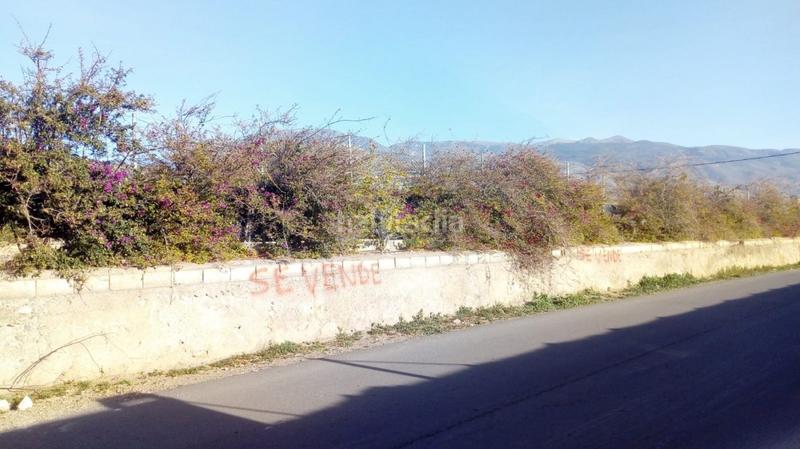 Foto 986f015a-c9d2-46fa-a714-02a399b5c7d0. Casa  en venta en tarambana en Las Norias Ejido (El)