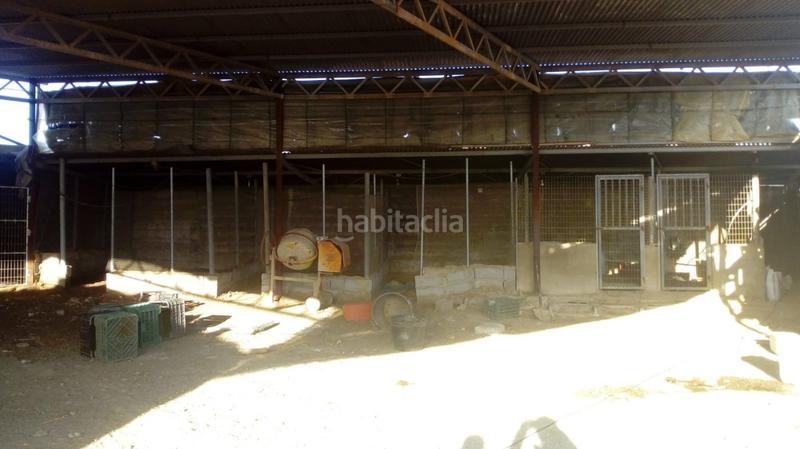 Foto e462103f-29c6-4cc0-9a7f-8fa713827278. Casa  en venta en tarambana en Las Norias Ejido (El)