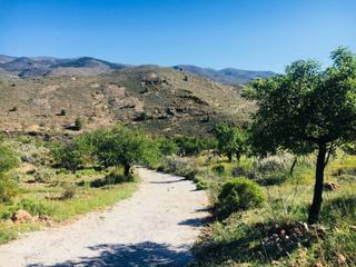 Mas à Fondón. Cortijo con terreno en venta en fondon