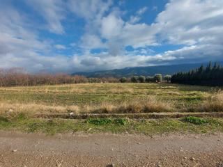 Finca rústica a Láujar de Andarax. Parcela en venta en laujar