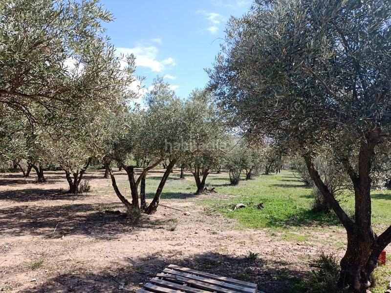 Foto 1588a23f-0ccc-49d6-9fec-6d89bc51bd20. Finca rústica a Fondón