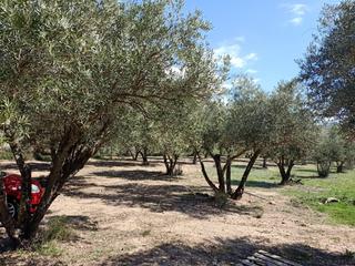 Propriété à Fondón. Parcela en venta en fondon