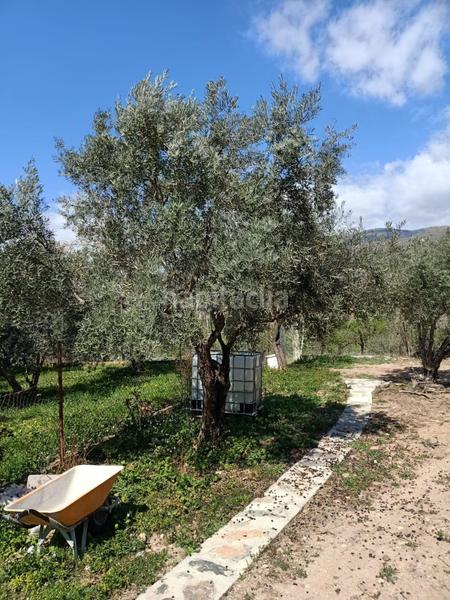 Foto 1869f01d-8b7e-47df-8b5d-799c167d5dbe. Finca rústica a Fondón