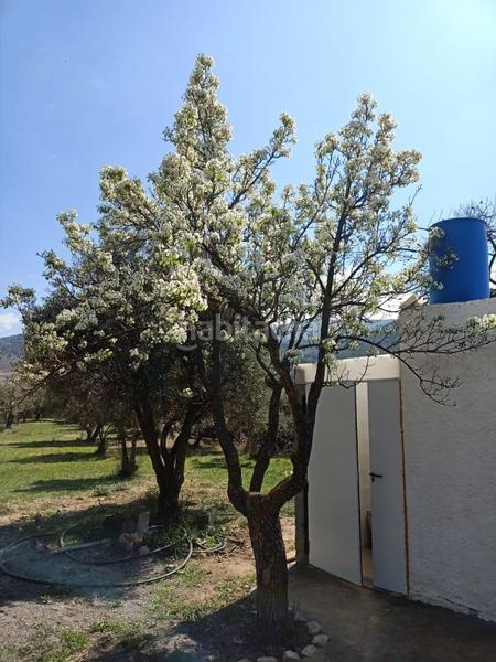 Foto 3a59128b-113f-4454-a83a-55b9bac69762. Finca rústica a Fondón