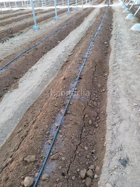 Foto 1c87ce30-424e-43a3-879f-5583875b5ba1. Terreny residencial a Guadix