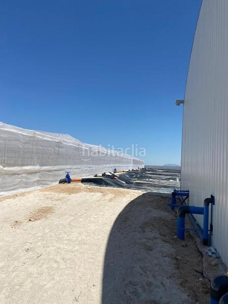 Foto acec3408-a9f6-4c7b-95f0-9c132f3ae814. Terreny residencial a Guadix