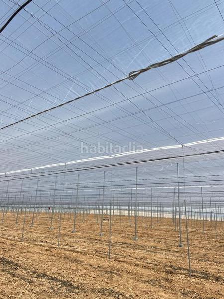 Foto b1bc6000-b50c-4504-a32e-2ad96551d8e4. Terreny residencial a Guadix