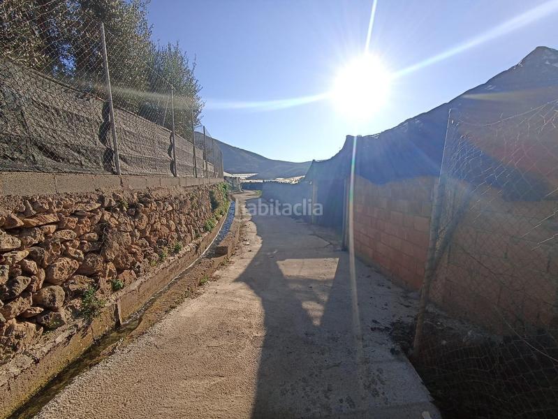 Foto 6cdd1d70-b0ef-45c6-99b7-509d5f22d76f. Terreno residencial invernadero en venta en Berja