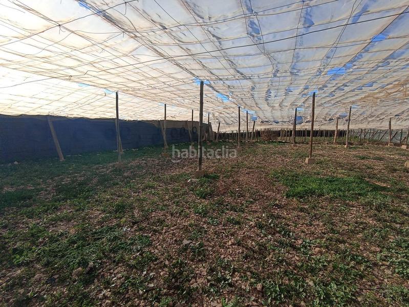 Foto 9fa56b0b-80f2-418c-a90a-af9791c32f51. Terreno residencial invernadero en venta en Berja