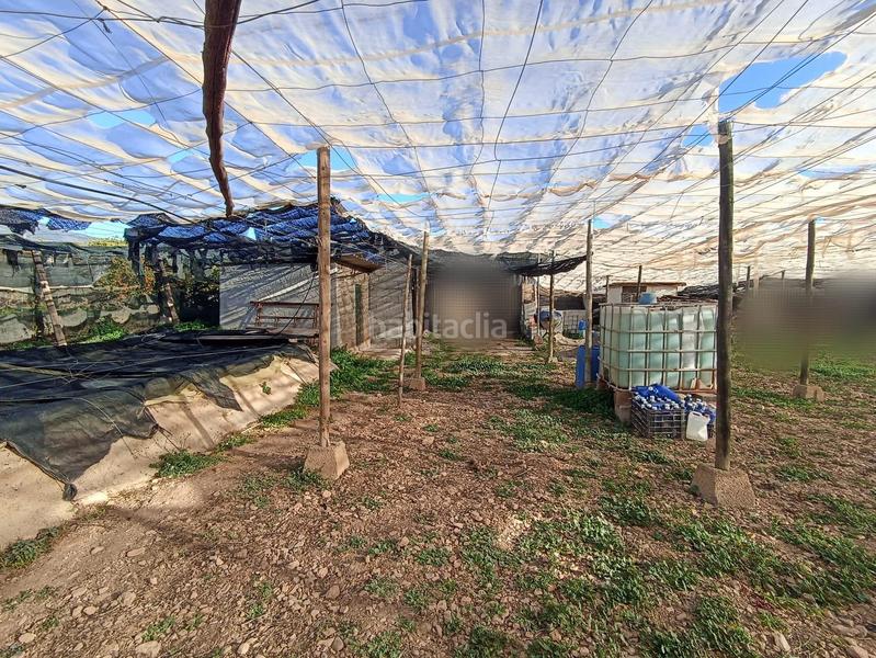 Foto bec76ae3-5f5c-49a0-a3b2-d31b73c886e1. Terreno residencial invernadero en venta en Berja