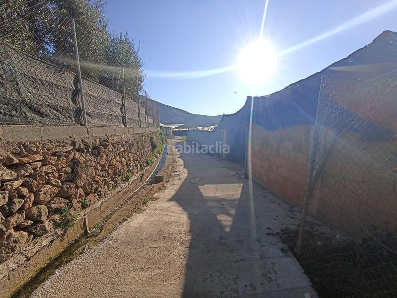 Foto de87c9a8-3898-4ce0-9ef2-c7d9ff9ac562. Terreno residencial invernadero en venta en Berja