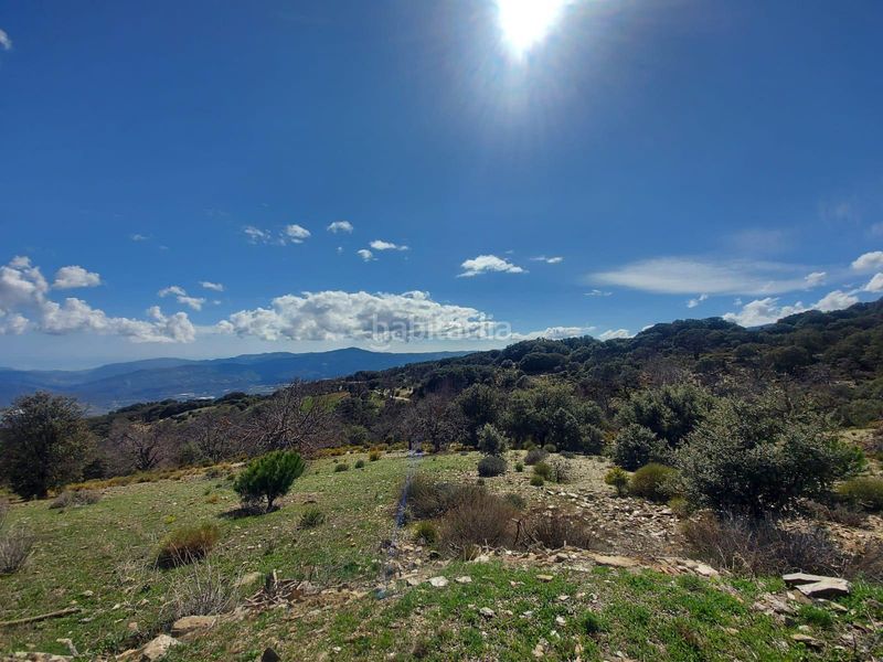 Foto 5c2ca839-e0cf-4487-9c3f-d1c977be9900. Masia a Nevada