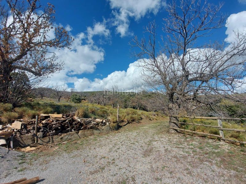 Foto 81f5cf38-c0c8-415b-b7ef-cf5c3f5a2b71. Masia a Nevada