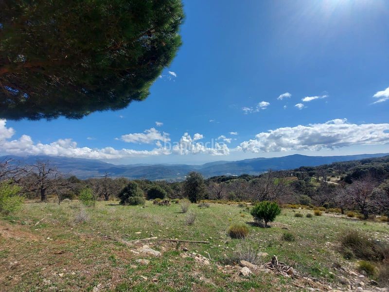 Foto 837f4c29-9b6d-4889-9b2f-581bc7cfedc3. Masia a Nevada